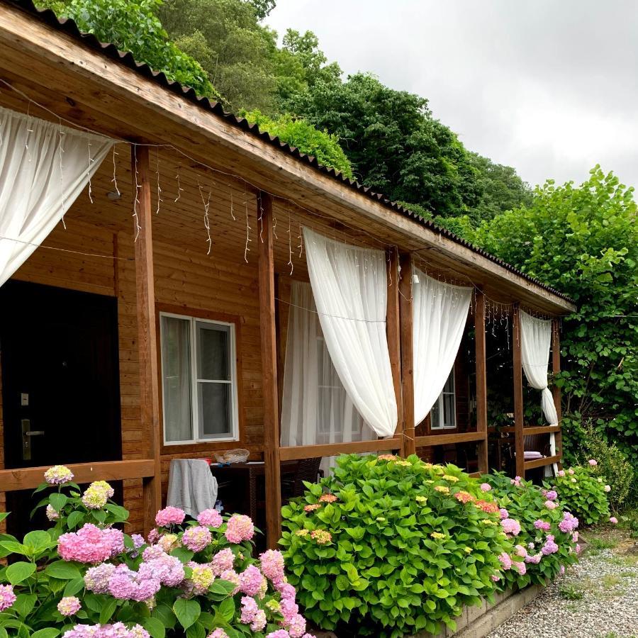 Guest House Ahan Gagra Exterior photo