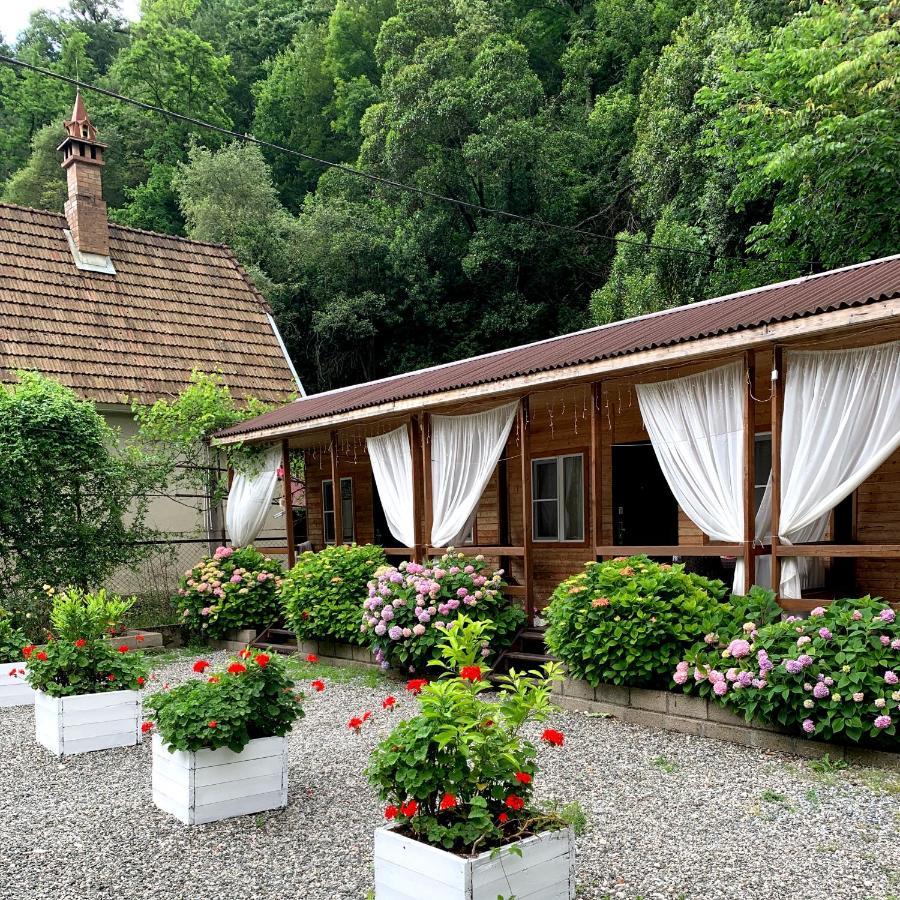 Guest House Ahan Gagra Exterior photo